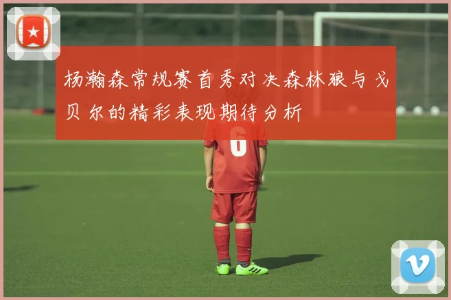 杨瀚森常规赛首秀对决森林狼与戈贝尔的精彩表现期待分析