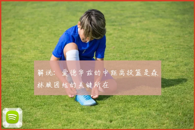 解说：爱德华兹的中距离投篮是森林狼团结的关键所在